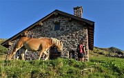 13 Un cavallo sente profumo di buono nello zaino di Debora